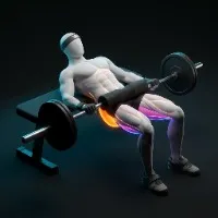 Barbell Hip Thrust