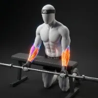 Barbell Reverse Wrist Curl