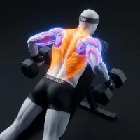 Chest Supported Dumbbell Row