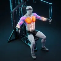 Pec Deck Fly Machine