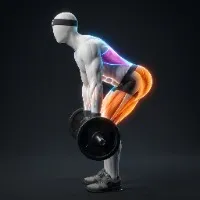 Romanian Deadlift RDL