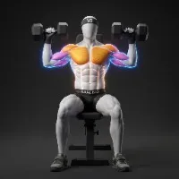 Seated Dumbbell Shoulder Press