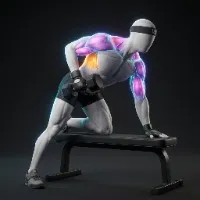 Single Arm Dumbbell Row