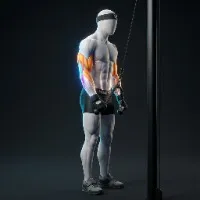 Tricep Cable Pushdown
